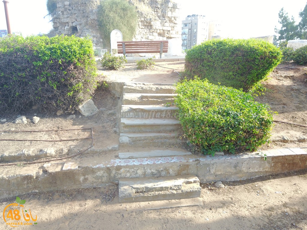 Yaozooor ej (25).JPG